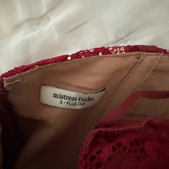 Mistress Rocks Redcurrent Lace Mini Dress - Picture 5 of 5